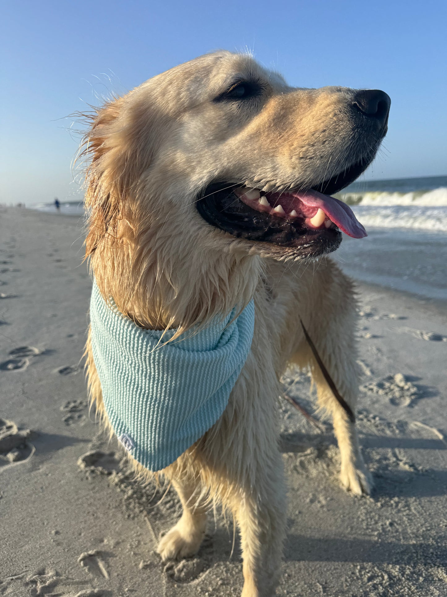 Seafoam