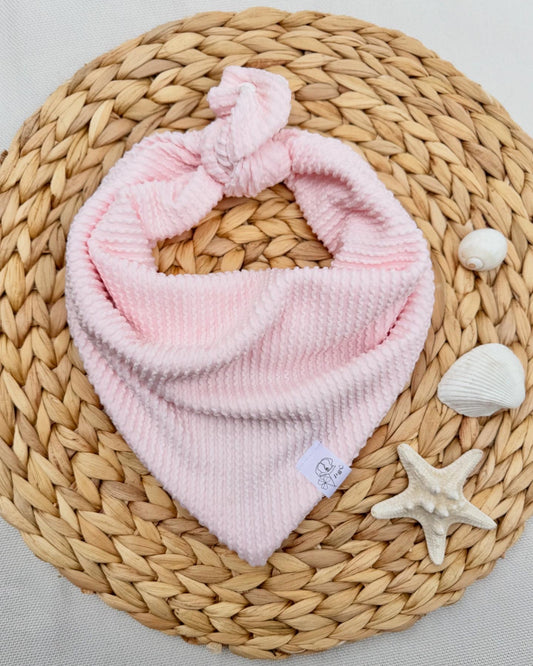 Seashell