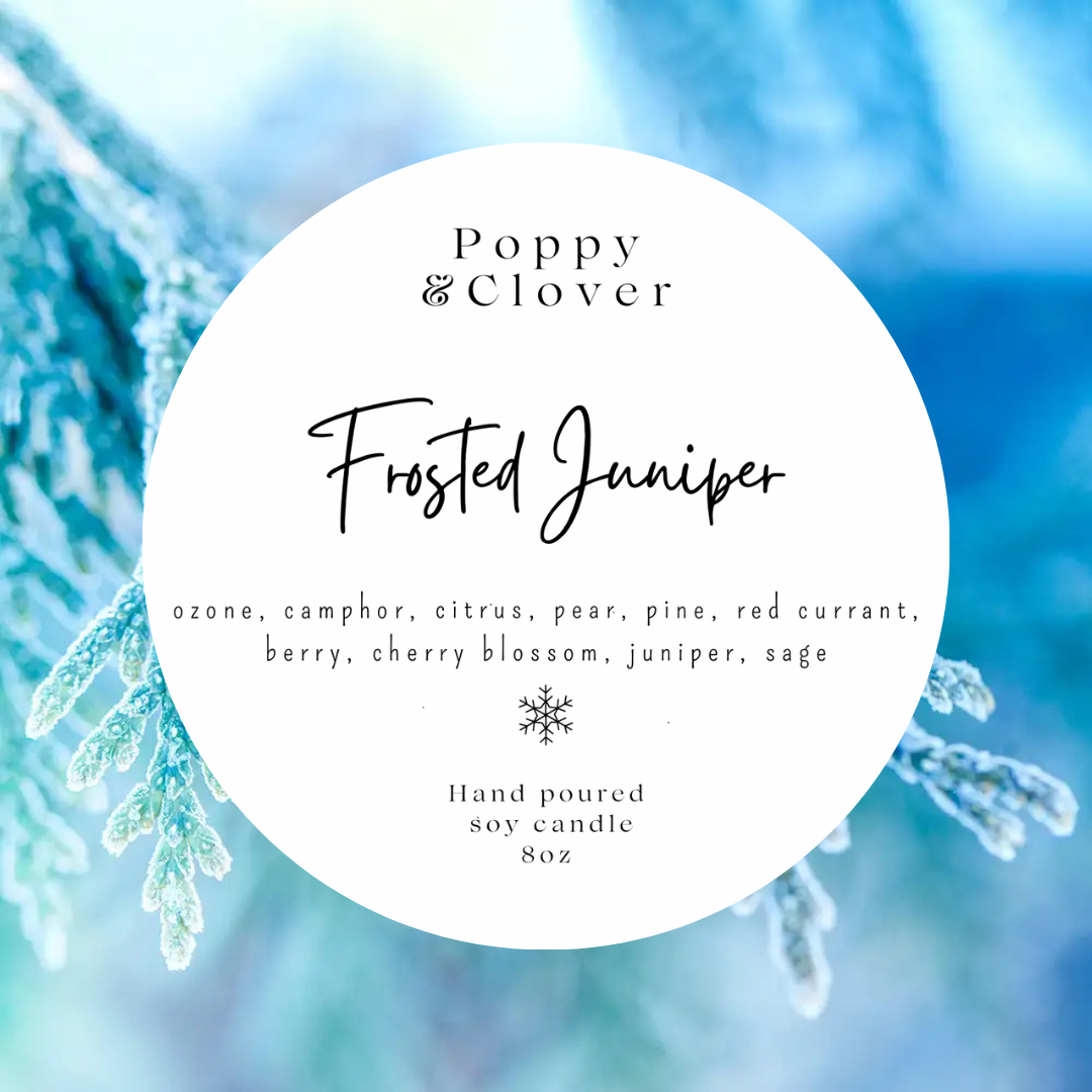 Frosted Juniper 8oz Soy Candle